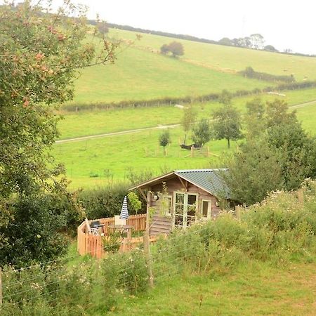 Woolcombe Cabin East Allington Eksteriør billede